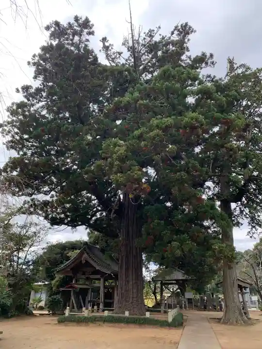 安興寺(千葉県)