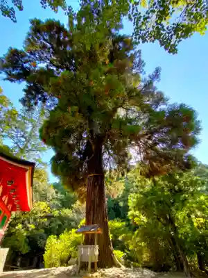 石上神宮(奈良県)