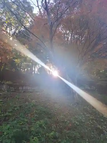 日向大神宮(京都府)