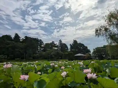 岩井八坂神社(茨城県)