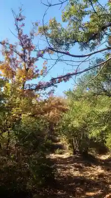 岐阜稲荷山本社の周辺