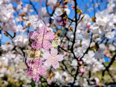 日本唯一香辛料の神　波自加彌神社(石川県)