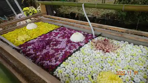 笠間稲荷神社の手水舎