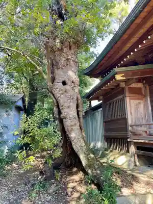 八雲氷川神社(東京都)