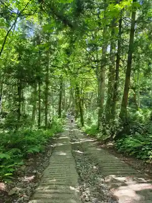 戸隠神社奥社(長野県)