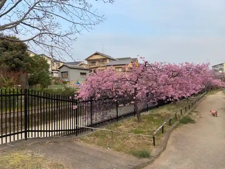 長円寺(京都府)