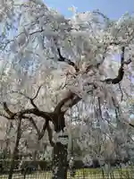 水火天満宮(京都府)