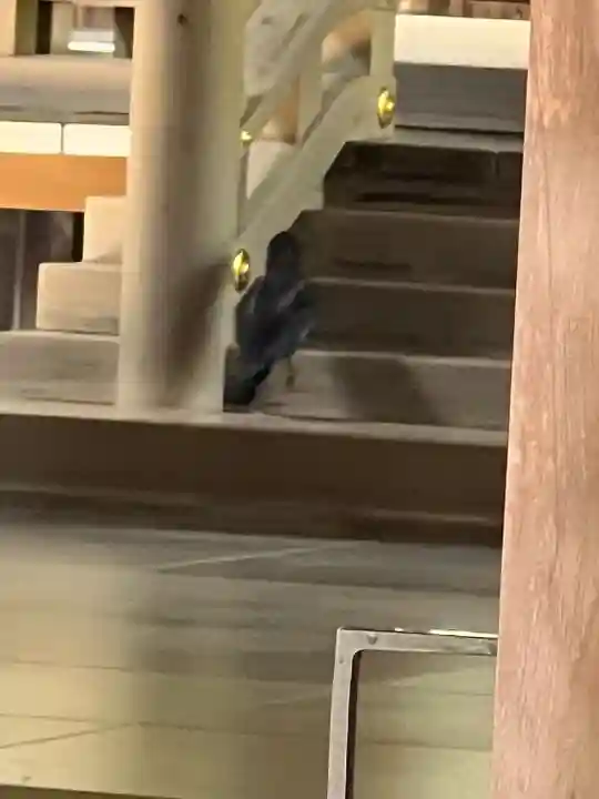 武蔵一宮氷川神社(埼玉県)