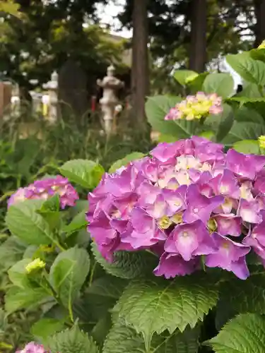 伏木香取神社の自然