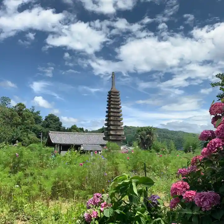 般若寺 ❁コスモス寺❁(奈良県)