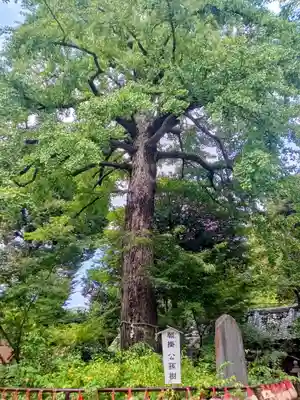 七社神社(東京都)