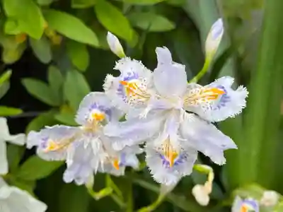 西方山極楽寺(岐阜県)
