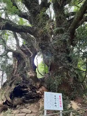 大山祇神社(愛媛県)