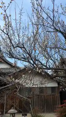 遍照寺(滋賀県)