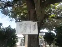 星福寺(埼玉県)