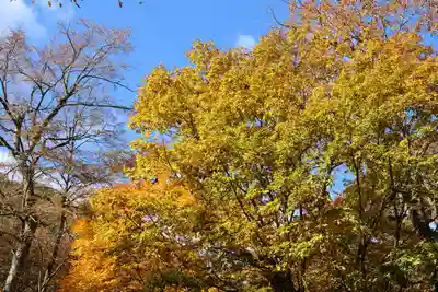 隠津島神社の自然