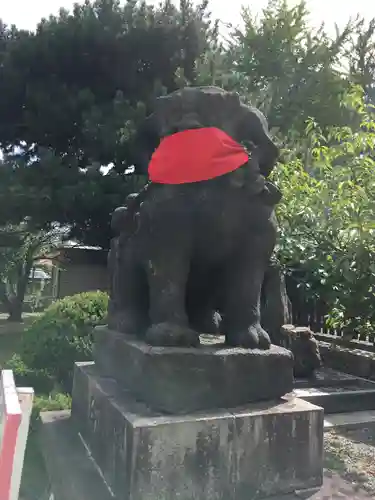 札幌護國神社の狛犬