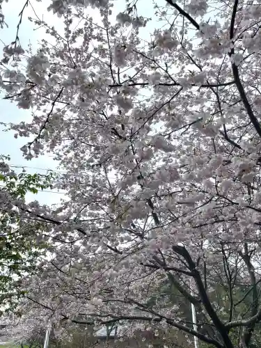 糀谷八幡宮(埼玉県)