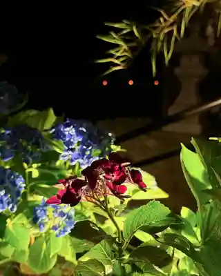 高司神社〜むすびの神の鎮まる社〜(福島県)