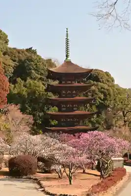 瑠璃光寺(山口県)