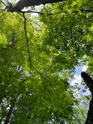 新屋山神社(山梨県)