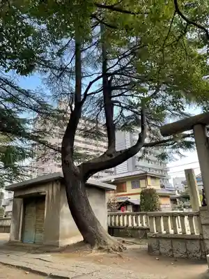 川口神社(埼玉県)