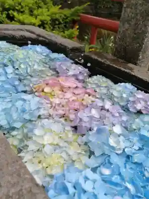 間々田八幡宮の手水舎