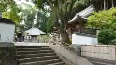 佛木寺(愛媛県)