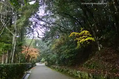伊勢神宮内宮(皇大神宮)(三重県)