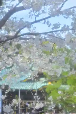 三嶋大社(静岡県)