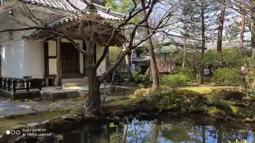 法然院の庭園