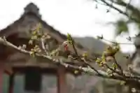 赤堂観音の自然