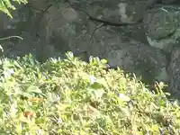 速谷神社(広島県)