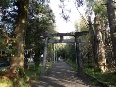 朝倉神社の鳥居