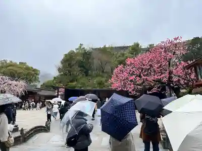 太宰府天満宮の本殿・本堂
