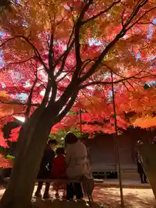 滑川神社 - 仕事と子どもの守り神(福島県)(2025年11月17日(月) 11時14分55秒投稿)