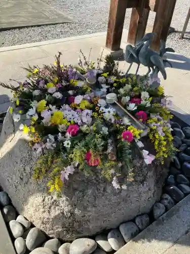 白鷺神社の{uncategorized: "未分類", other: "その他", undefined: "問題あり", building: "その他建物", grave: "お墓", sacred_gate: "鳥居", guardian: "狛犬", statue: "像", buddha: "仏像", history: "歴史", nature: "自然", garden: "庭園", animal: "動物", pagoda: "塔", temizu: "手水舎", mountain_gate: "山門・神門", sanctuary: "本殿・本堂", subordinate: "末社・摂社", art: "芸術", scenery: "景色", jizo: "地蔵", ema: "絵馬", goshuin: "御朱印", omikuji: "おみくじ", items: "授与品その他", amulet: "お守り", goshuincho: "御朱印帳", eats: "食事", festival: "お祭り", votive_dance: "神楽", shichigosan: "七五三参", wedding: "結婚式", experience: "体験その他", initially: "初詣", around: "周辺", anti_infection: "感染症対策"}