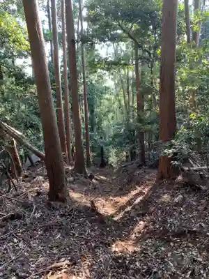 愛宕神社の周辺