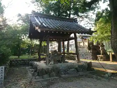 春日神社の手水舎
