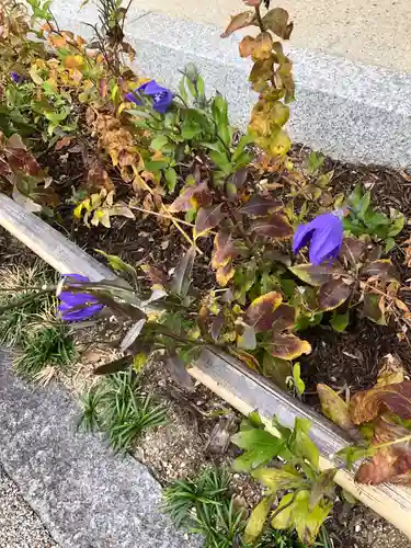 晴明神社の自然