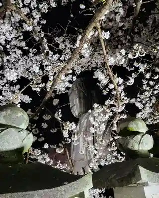 南法華寺（壷阪寺）(奈良県)