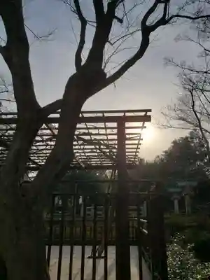 東郷神社(東京都)