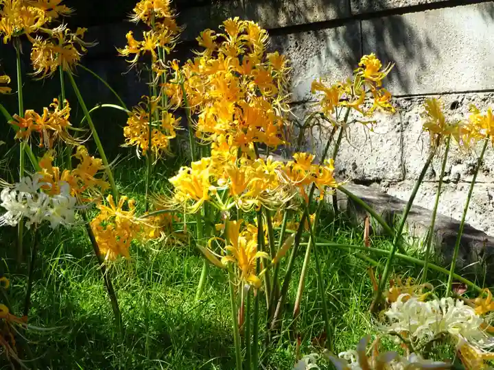 横浜 西方寺の自然
