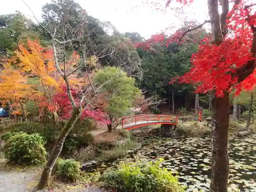 大原野神社の庭園