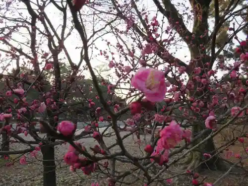 菅原院天満宮神社の自然