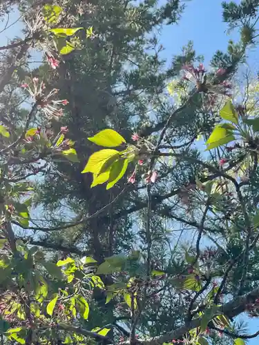 伊勢の国 四天王寺の自然