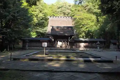 若狭彦神社（上社）の本殿・本堂
