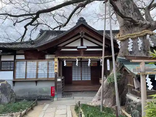 齋宮神社(京都府)