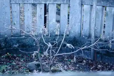 諏訪大社上社前宮(長野県)