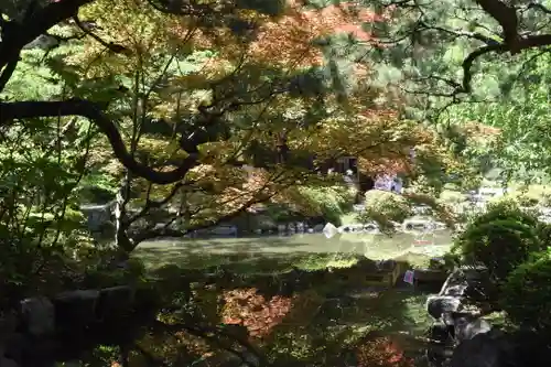 平安神宮の庭園